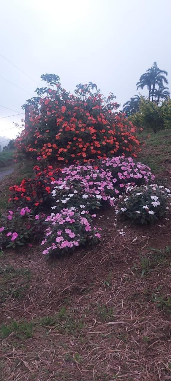 El Rincon De Las Flores Bajo Tigre المظهر الخارجي الصورة