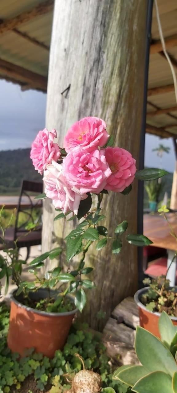 El Rincon De Las Flores Bajo Tigre المظهر الخارجي الصورة