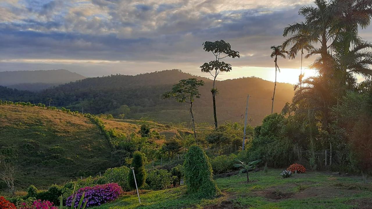 El Rincon De Las Flores Bajo Tigre المظهر الخارجي الصورة